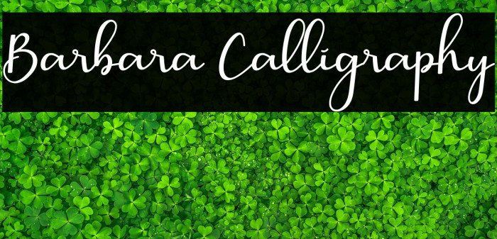 Barbara Calligraphy Example 3