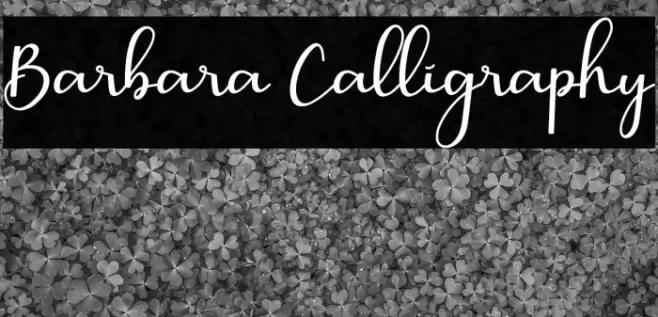 Barbara Calligraphy Font examples