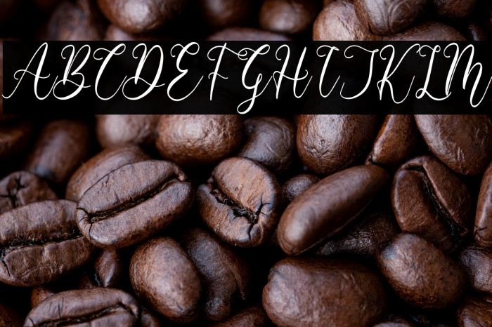 Barbara Derina Italic Example 1