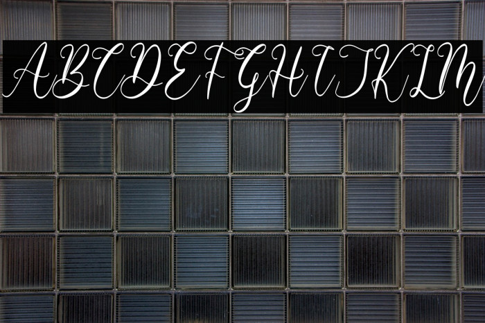 Barbara Derina Italic Example 2