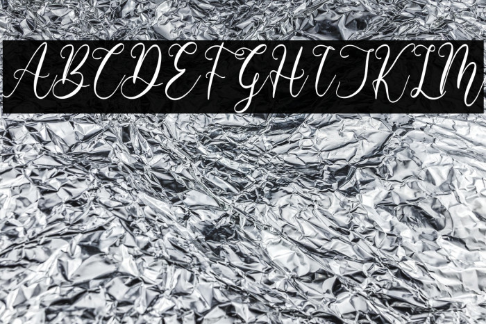 Barbara Derina Italic Example 3