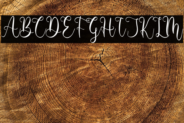 Barbara Derina Example 2