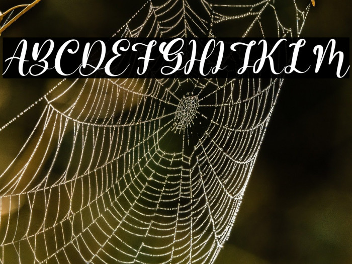 Barbara Lattvia Italic Example 1