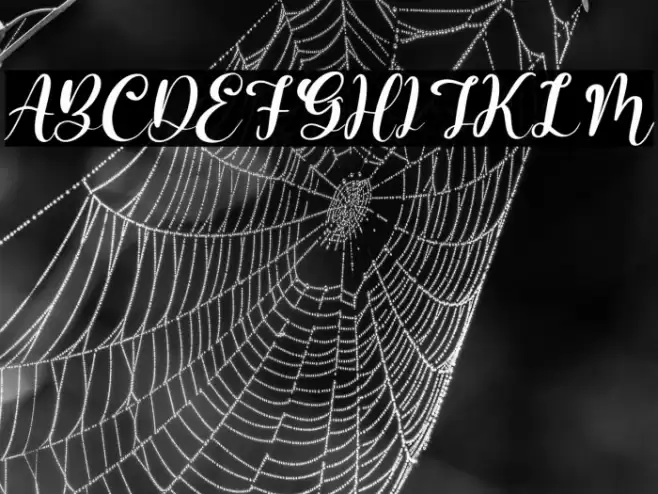 Barbara Lattvia Italic Font examples