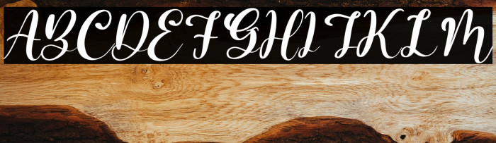 Barbara Lattvia Italic Example 2