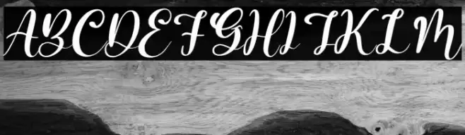 Barbara Lattvia Italic Font examples