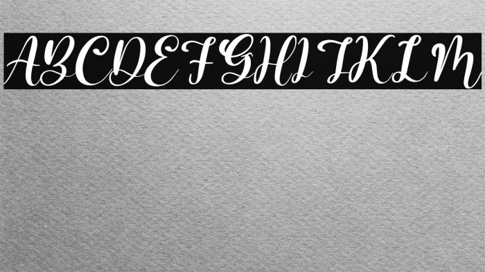 Barbara Lattvia Italic Example 3