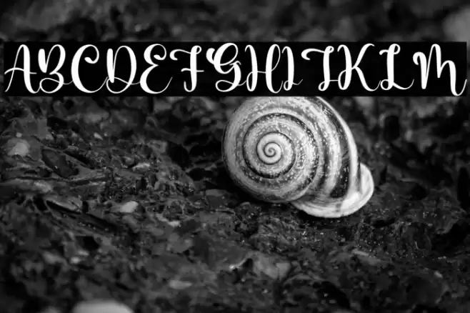 Barbara Lattvia Font examples