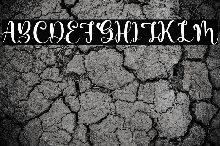 Barbara Lattvia Example 2