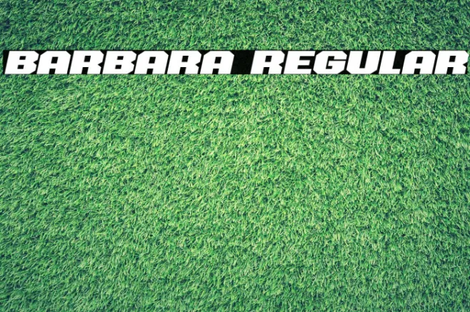 Barbara Regular Example 1