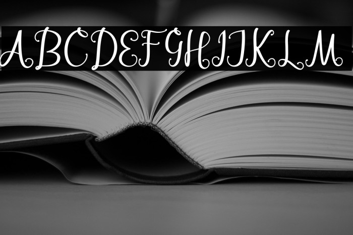 BarbaraScript Example 1