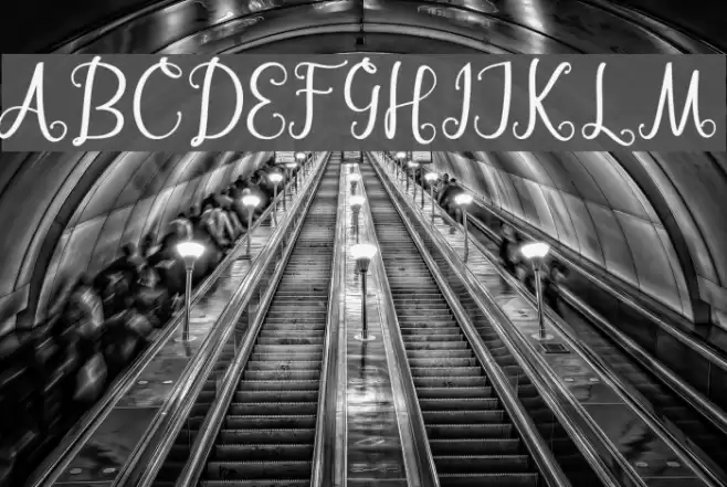 BarbaraScript Font examples