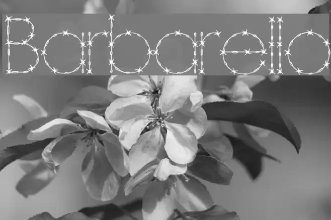 Barbarello Schriftart examples