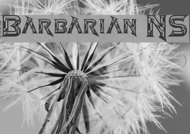 Barbarian NS Fonte examples