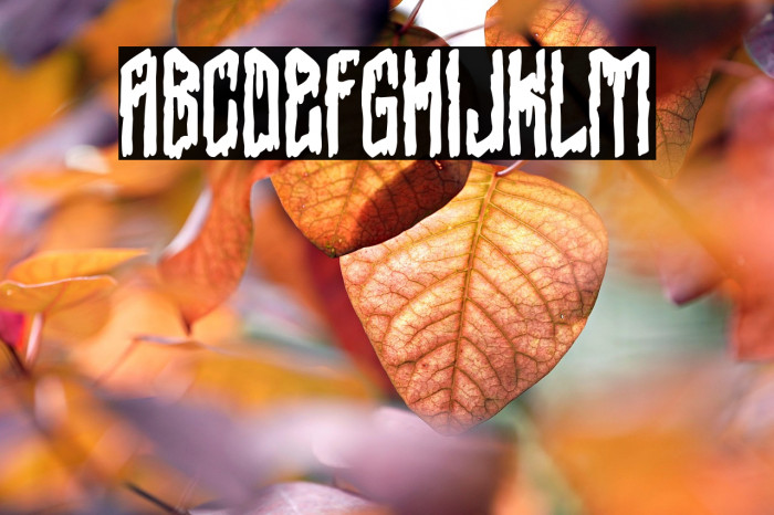 Barbarians Hotel Example 3