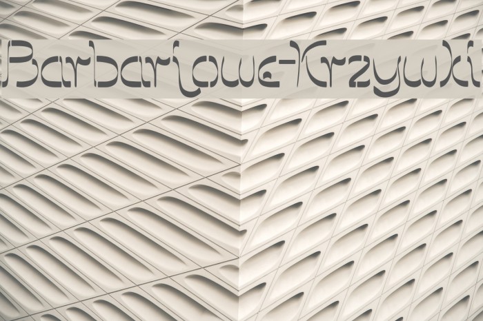 Barbarjowe-Krzywki Example 1