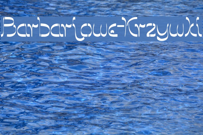 Barbarjowe-Krzywki Example 2