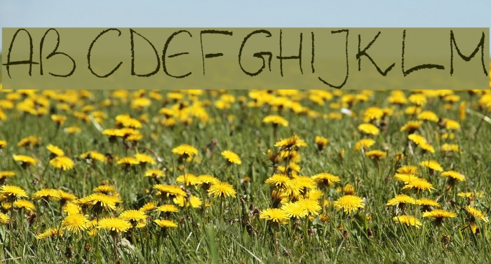 Barbarjowe Pisanie Font examples