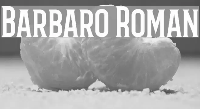 Barbaro Roman Font examples