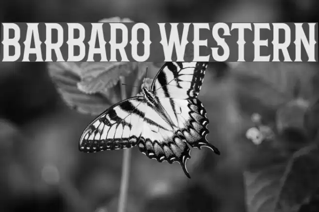 Barbaro Western Font examples