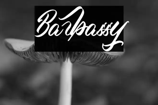 Barbassy Example 1