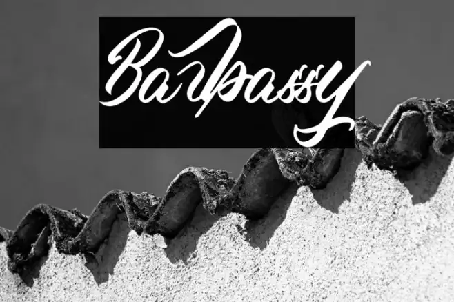 Barbassy Example 3