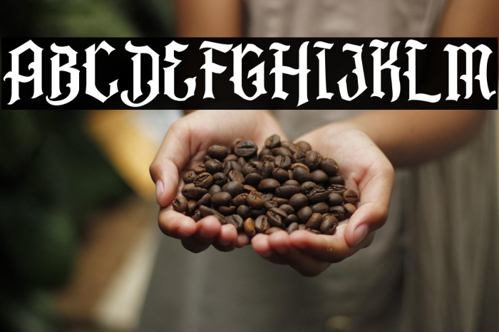 Barbatos Regular Example 2