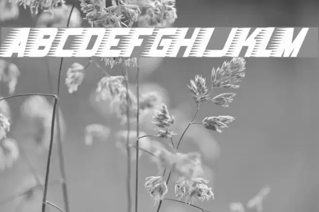 Barbatrick Font examples