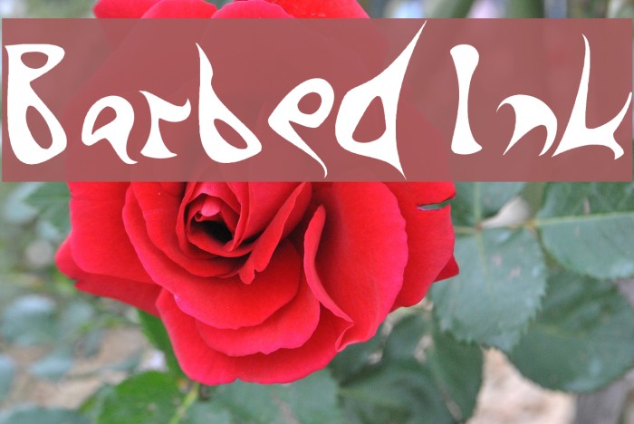 Barbed Ink フォント examples