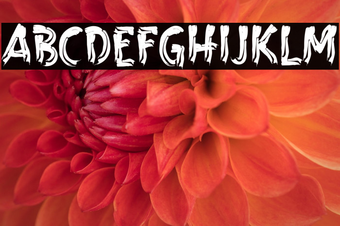 Barbeque Grill Example 1