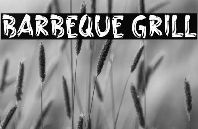 Barbeque Grill Font examples