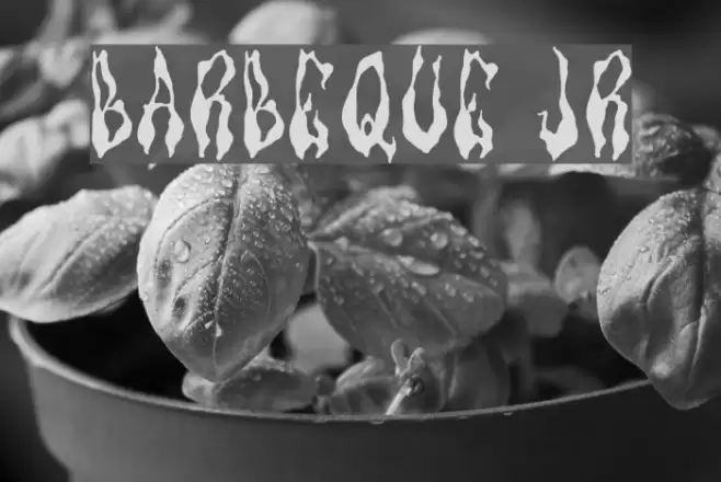 Barbeque Jr Font examples
