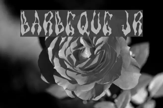 Barbeque Jr Font examples