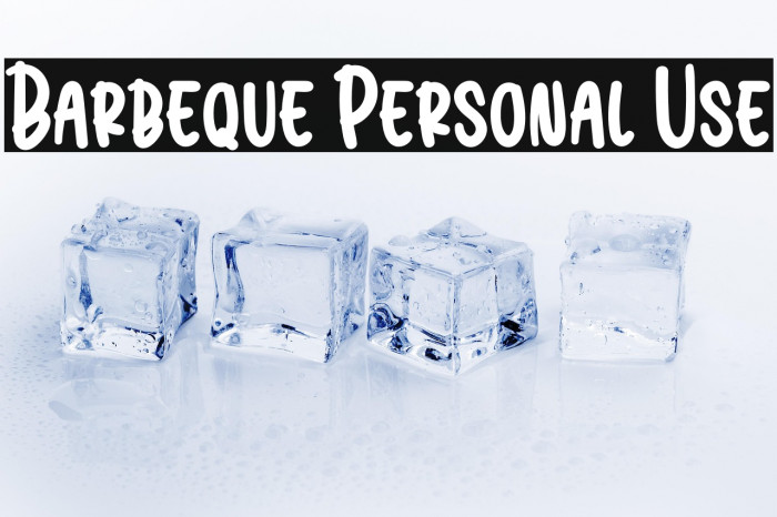 Barbeque Personal Use Example 1