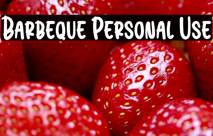 Barbeque Personal Use Example 2