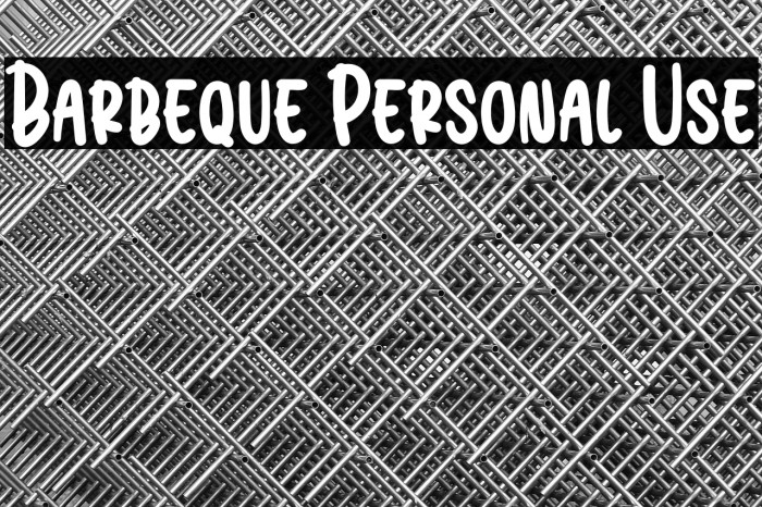 Barbeque Personal Use Example 3