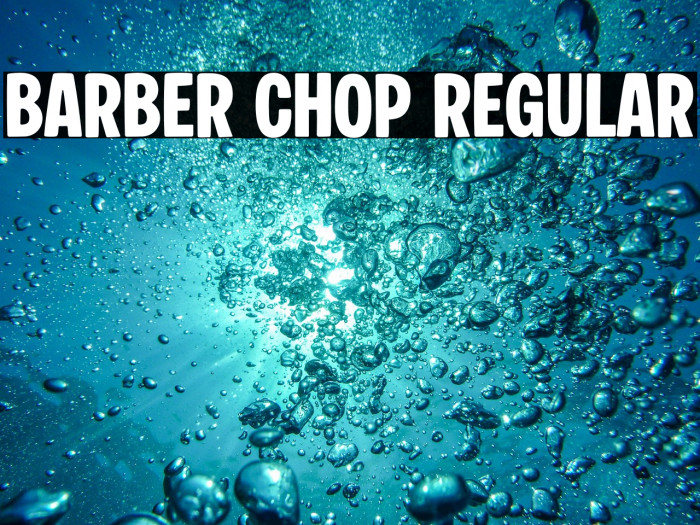 Barber Chop Regular Example 3