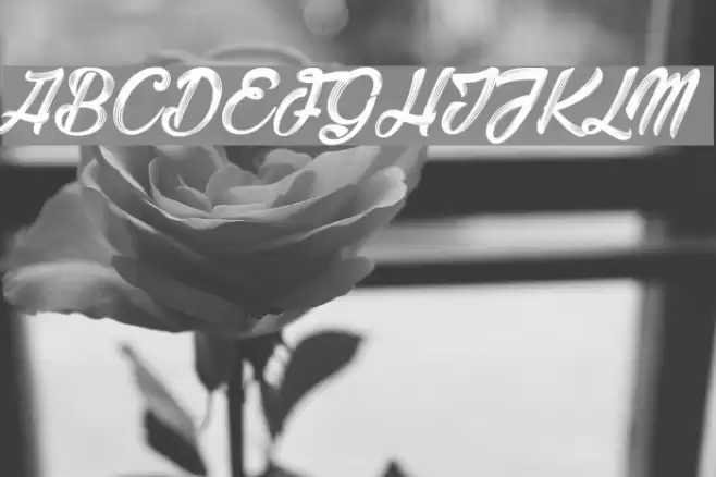 Barber Street_PersonalUseOnly Polices examples