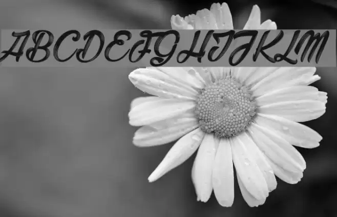 Barber Street_PersonalUseOnly Polices examples