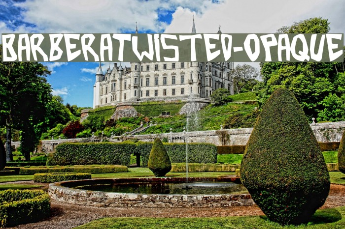 BarberaTwisted-Opaque Example 1