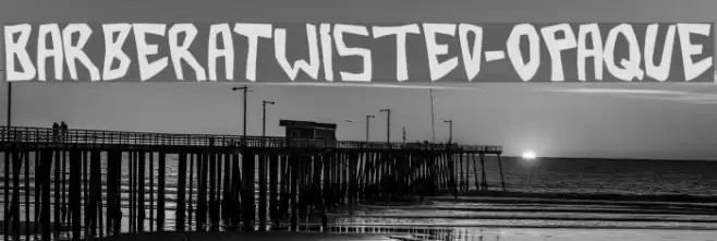BarberaTwisted-Opaque Font examples