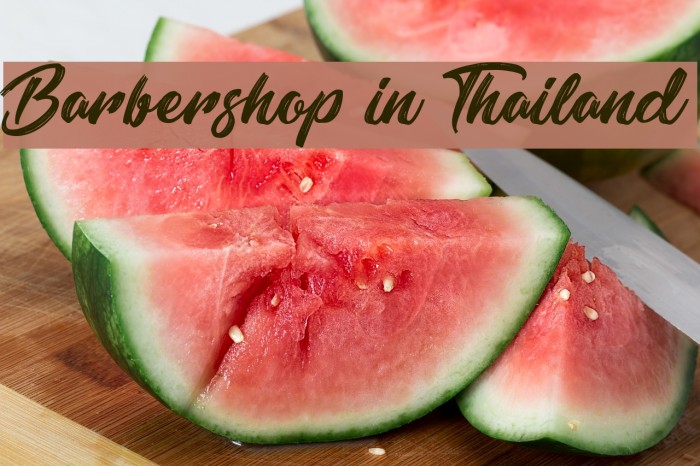 Barbershop in Thailand Example 2