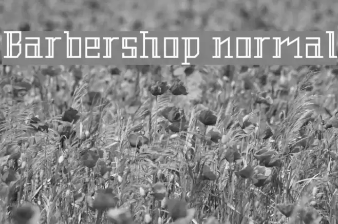 Barbershop normal Font examples