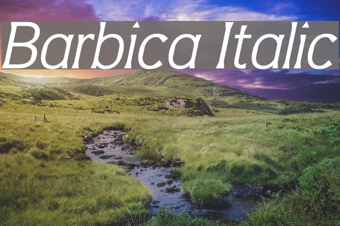 Barbica Italic Font examples