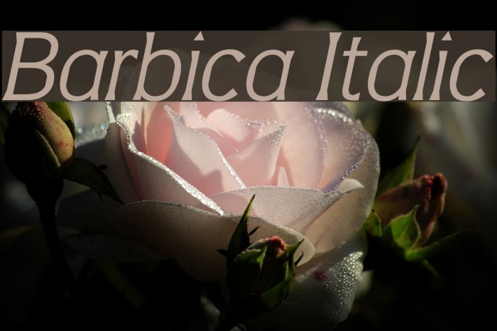 Barbica Italic Font examples