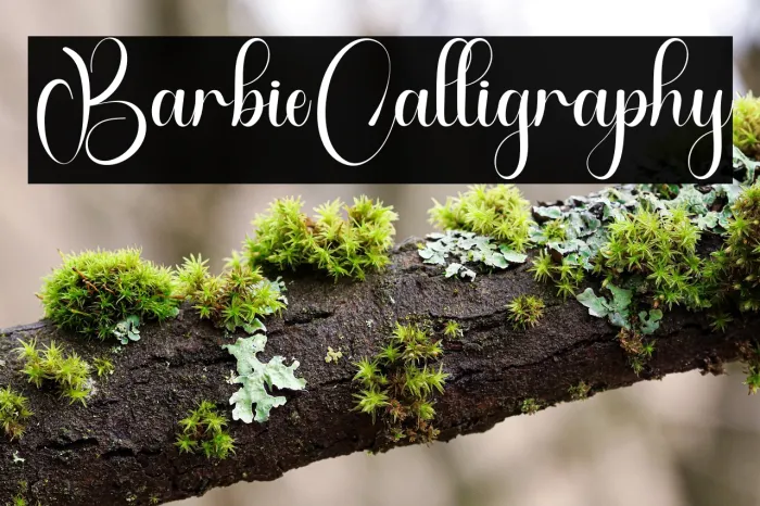 Barbie Calligraphy Example 1
