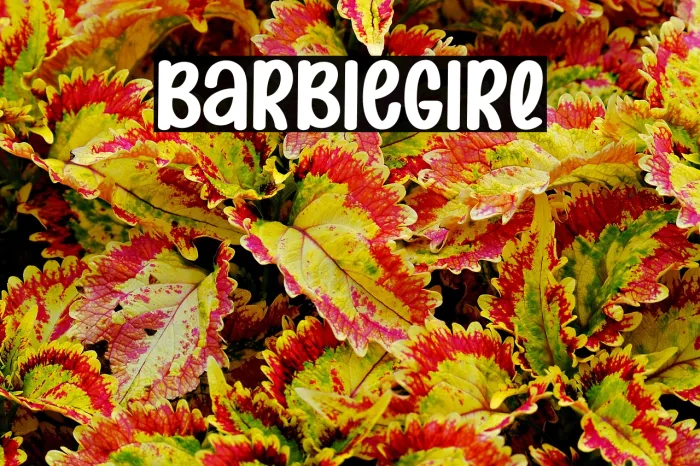 Barbie Girl Example 3