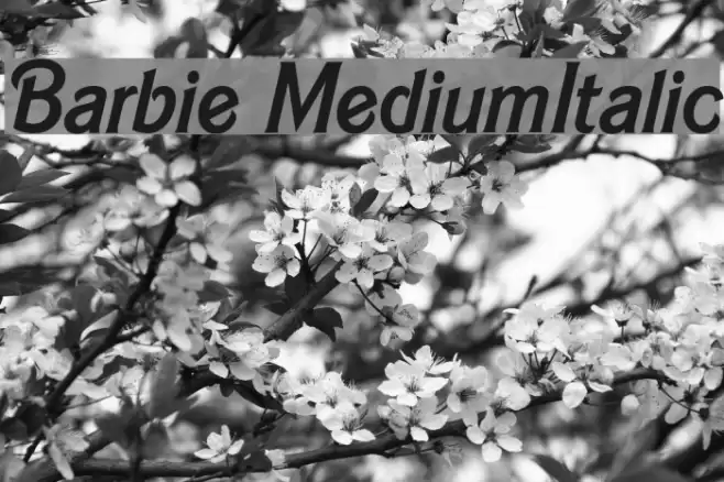 Barbie MediumItalic Font examples