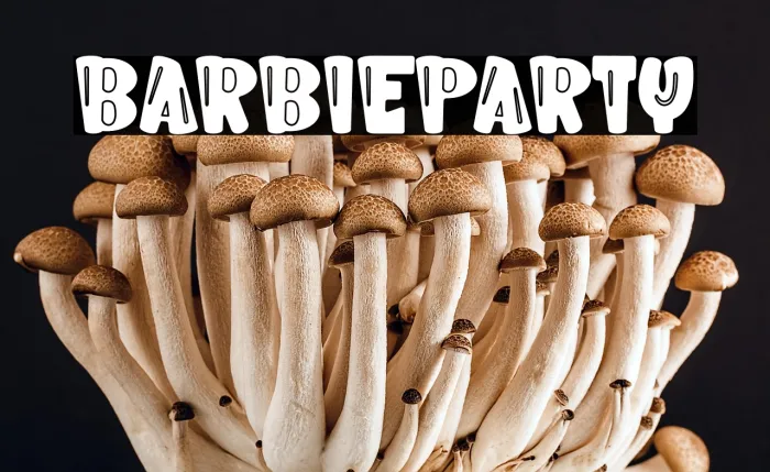 Barbie Party Example 1