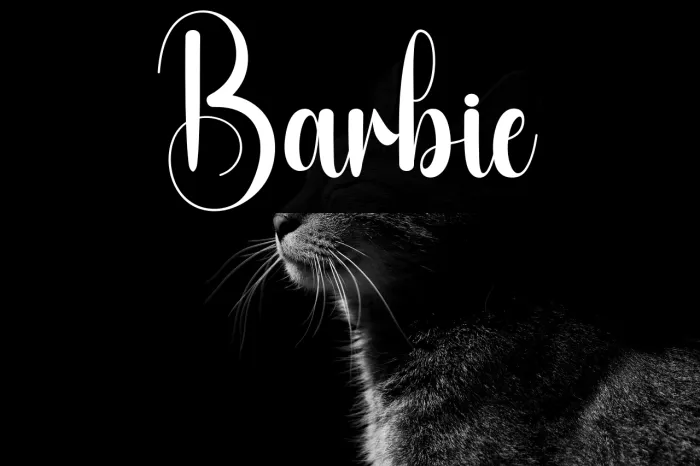 Barbie Example 2